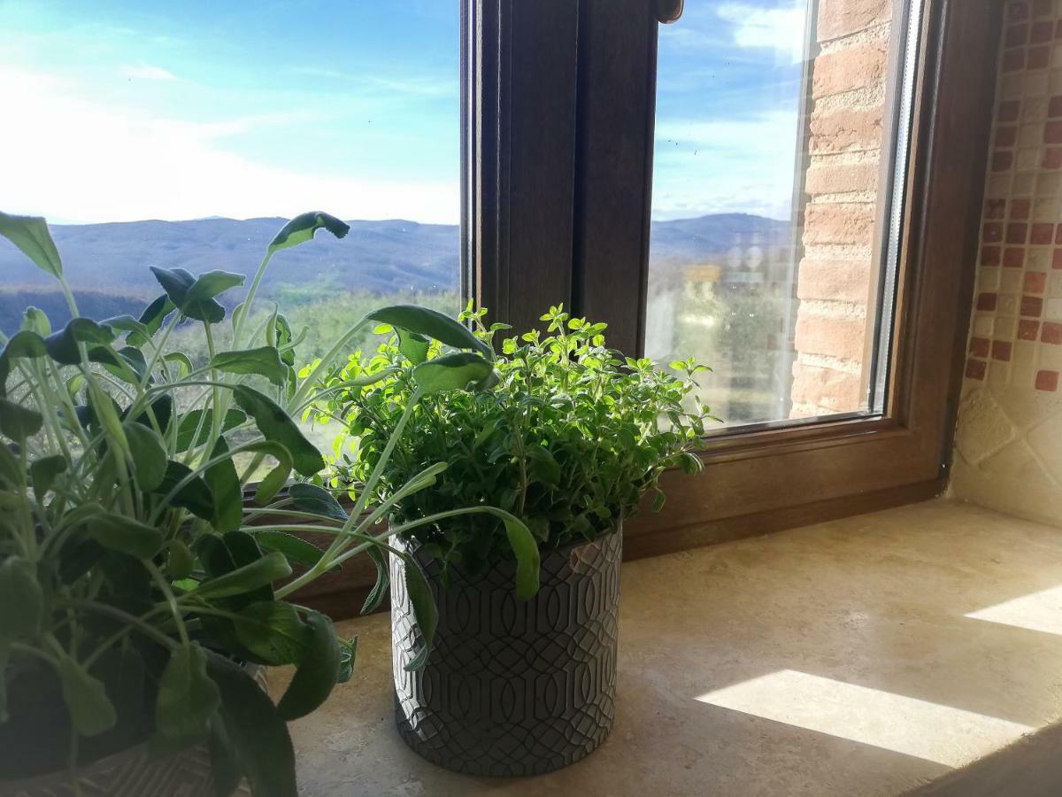 Appartement La Coccinella à San Venanzo Extérieur photo